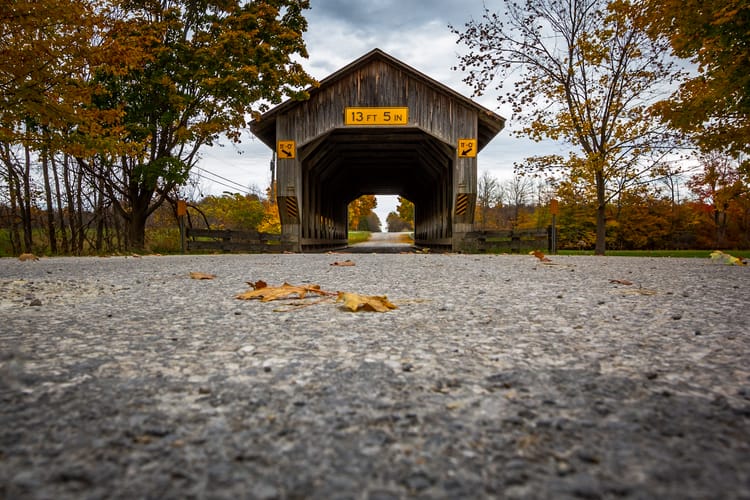 13. Colleen M. Farrelly ~ crossing paths