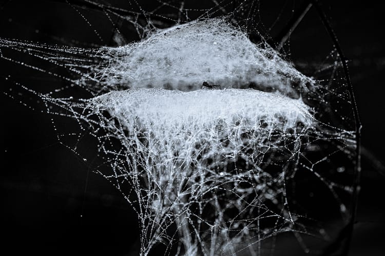 14. Cynthia Bale ~ everything has a story