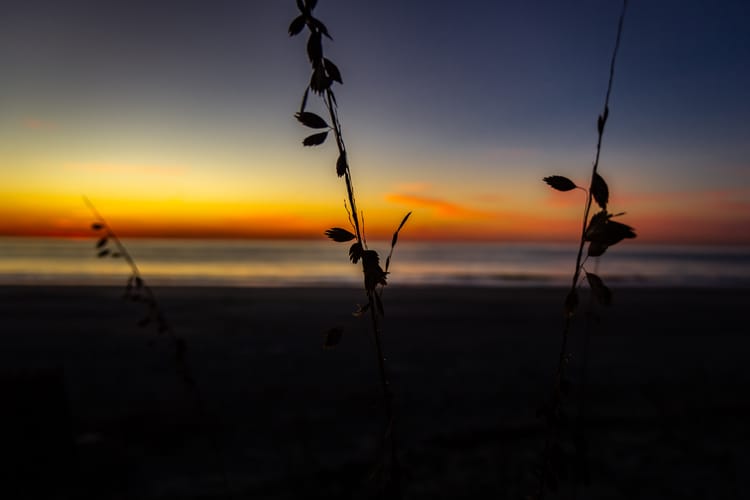 18. Sophia Conway ~ the color of heartbreak