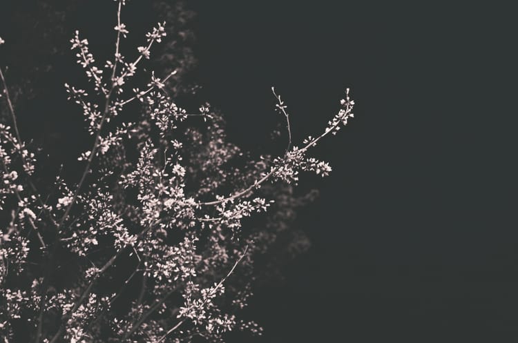 Call for Submissions: 2026 confluence Poetry Prize