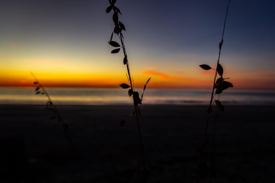 18. Sophia Conway ~ the color of heartbreak