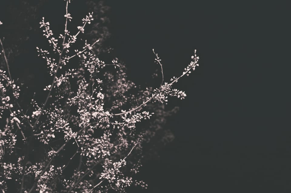 Call for Submissions: 2026 confluence Poetry Prize